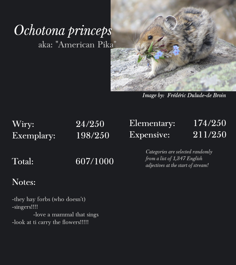 Ochotona princeps